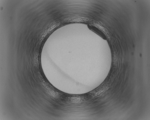 X0000062890394200602101746