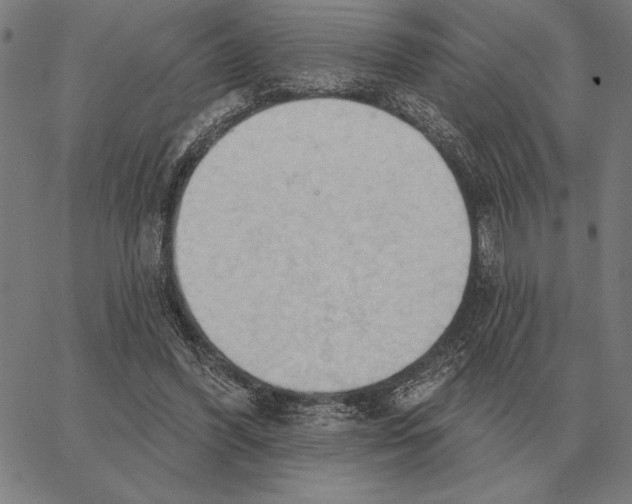 X0000062890396200602101746