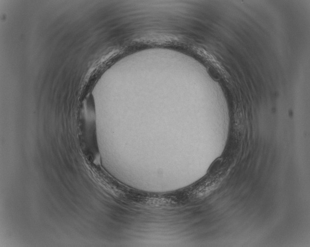 X0000062890399200602101746