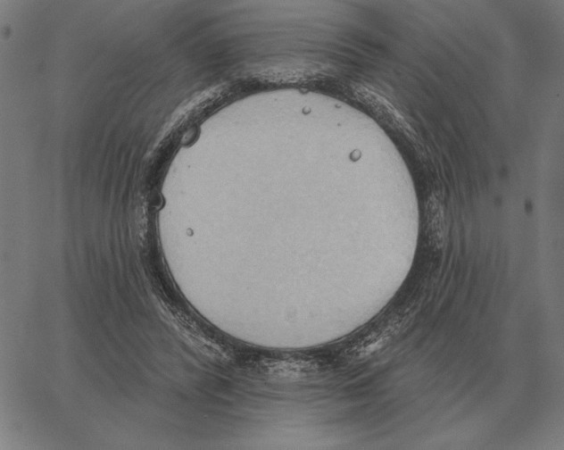 X0000062890400200602101746