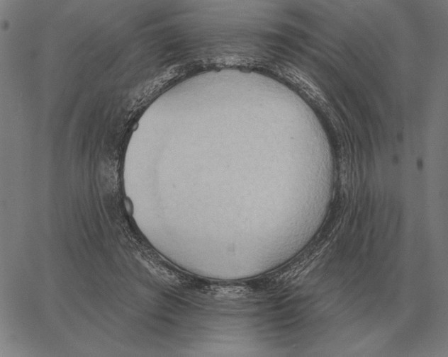 X0000062890401200602101746