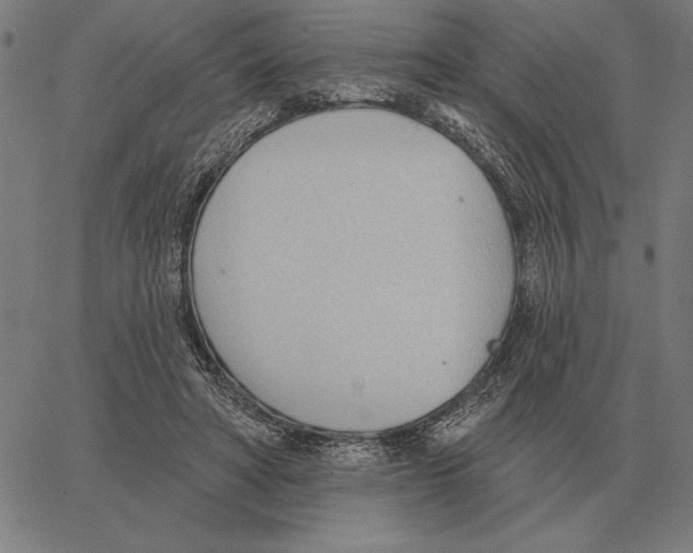 X0000062890402200602101746