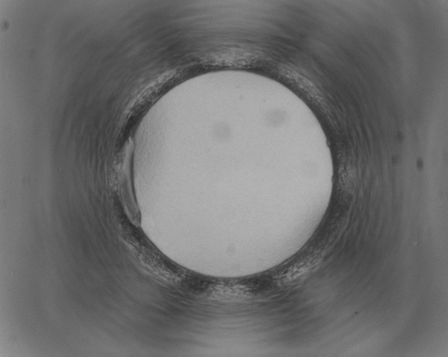 X0000062890403200602101746