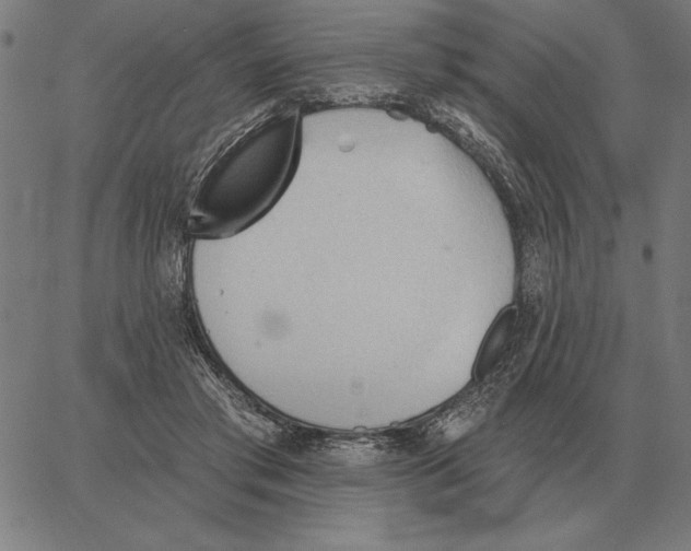 X0000062890405200602101746