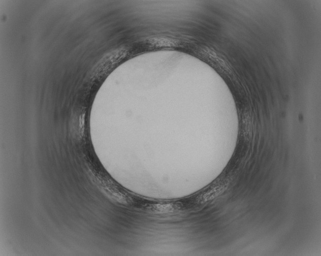 X0000062890406200602101746