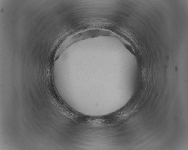 X0000062890407200602101746