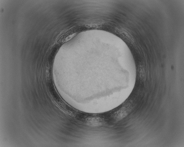 X0000062890408200602101746