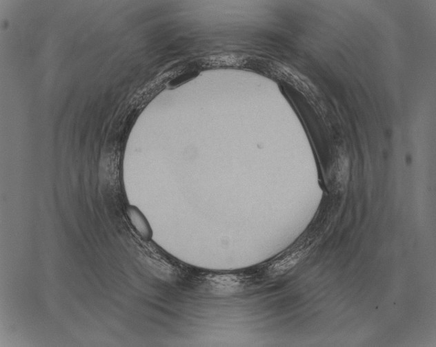 X0000062890409200602101746