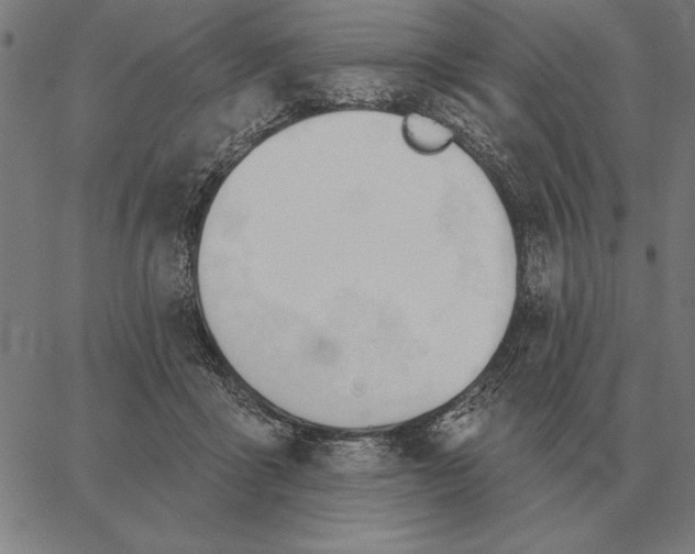 X0000062890411200602101746