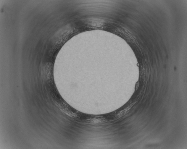 X0000062890412200602101746