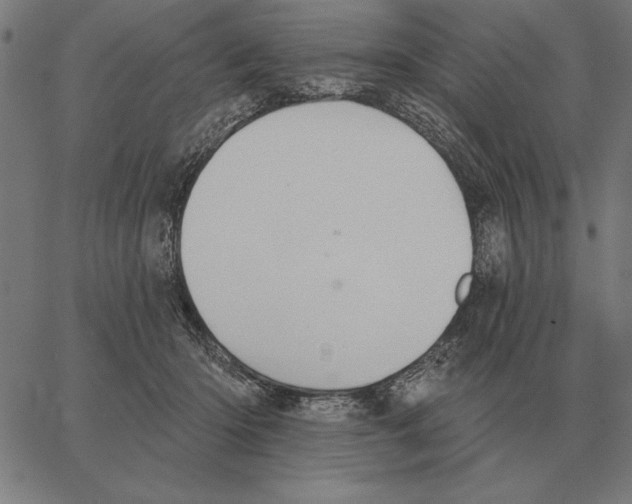 X0000062890414200602101746