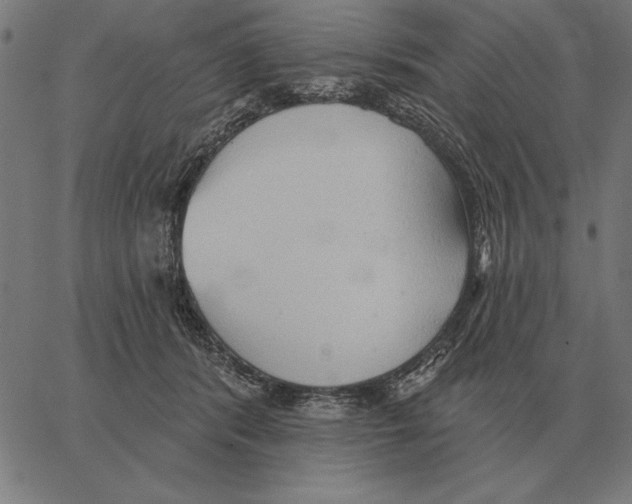 X0000062890416200602101746