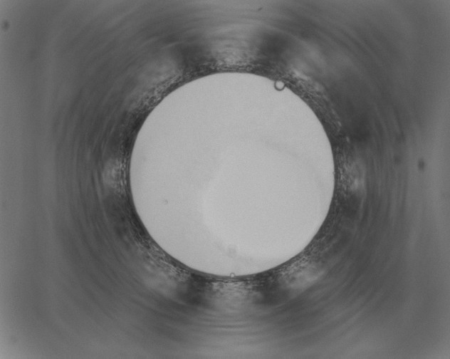 X0000062890419200602101746