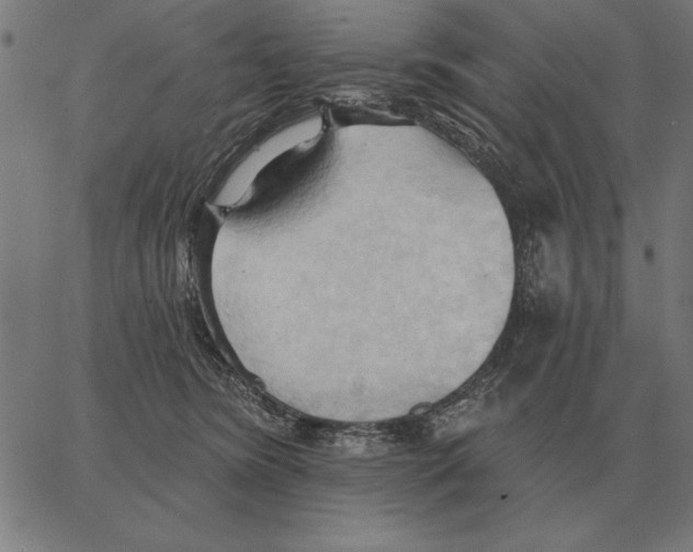 X0000062890420200602101746