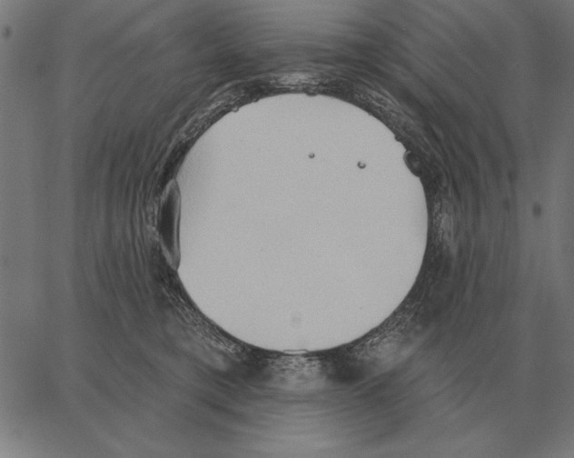 X0000062890421200602101746