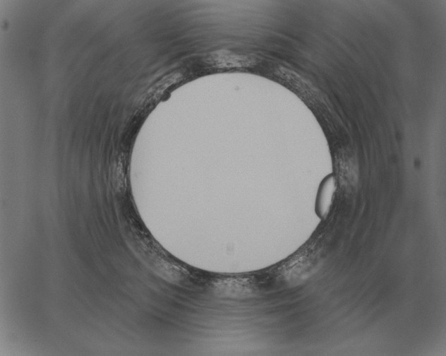 X0000062890422200602101746