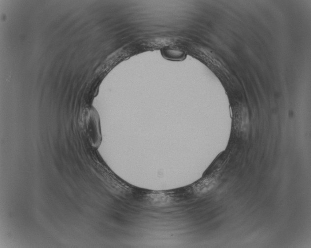 X0000062890425200602101746