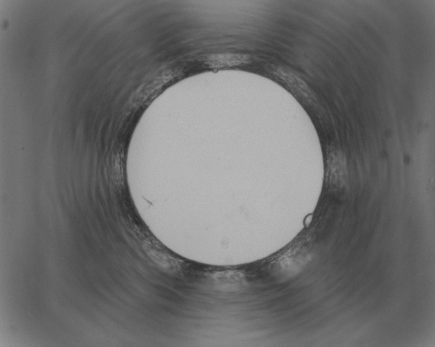 X0000062890426200602101746