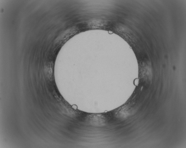 X0000062890427200602101746