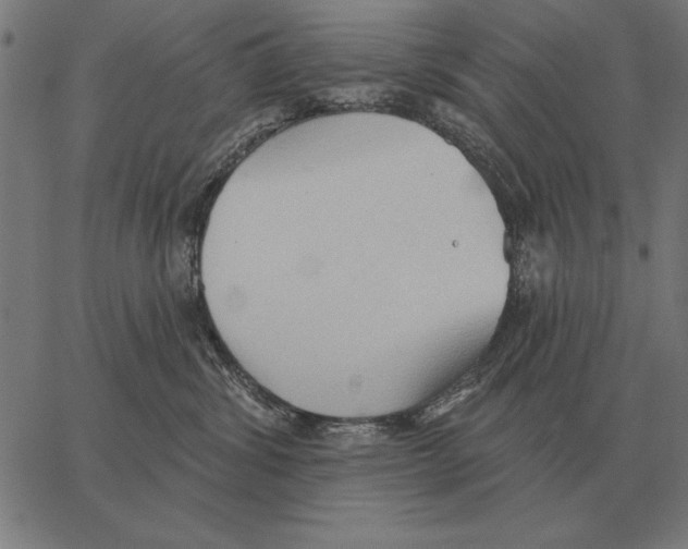 X0000062890428200602101746