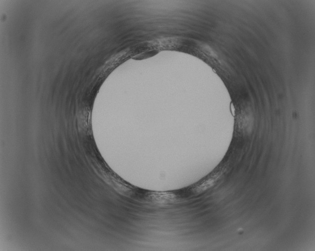 X0000062890429200602101746