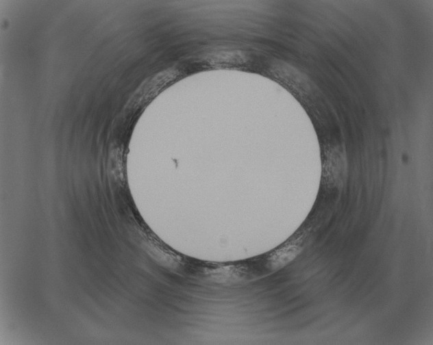 X0000062890430200602101746