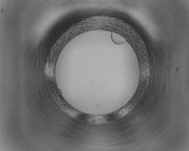 X0000062890431200602101746