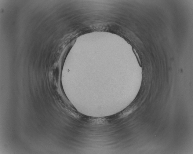 X0000062890432200602101746