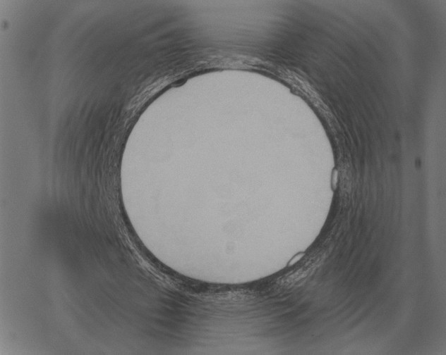 X0000062890433200602101745