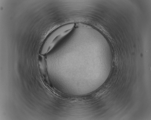 X0000062890434200602101745