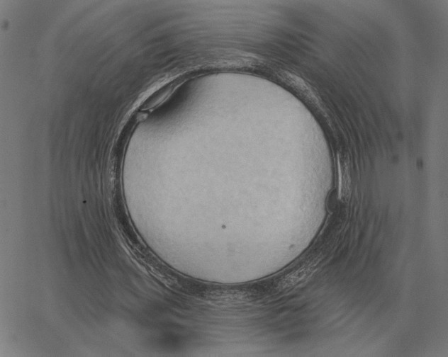 X0000062890435200602101745