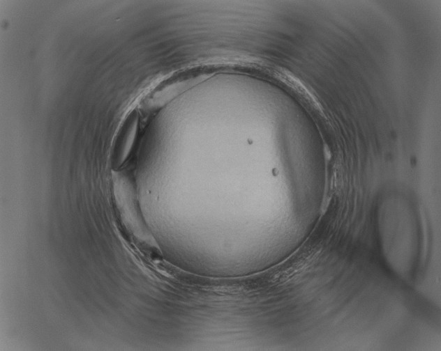 X0000062890436200602101745