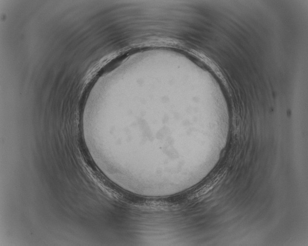 X0000062890437200602101745