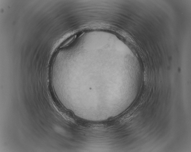 X0000062890438200602101745