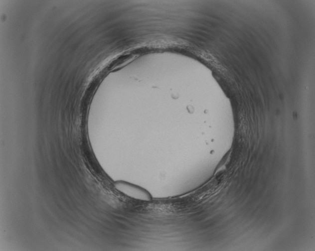 X0000062890440200602101745