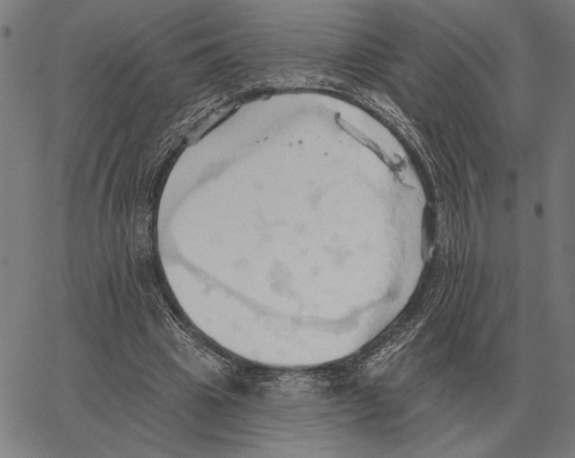 X0000062890441200602101745