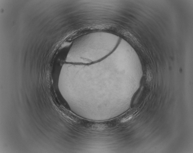 X0000062890444200602101745