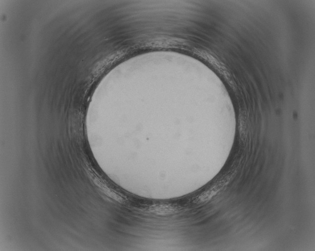 X0000062890445200602101745