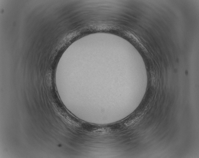 X0000062890447200602101745