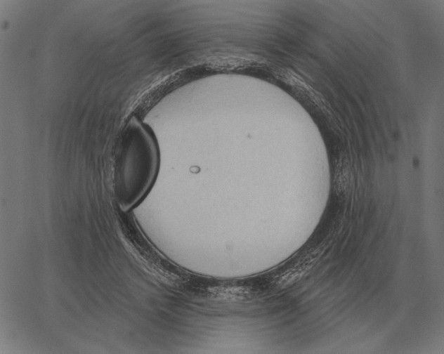 X0000062890448200602101745