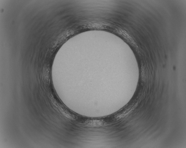 X0000062890449200602101745