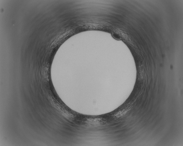 X0000062890450200602101745