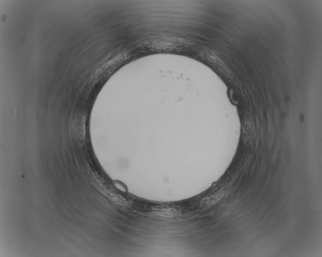 X0000062890454200602101745