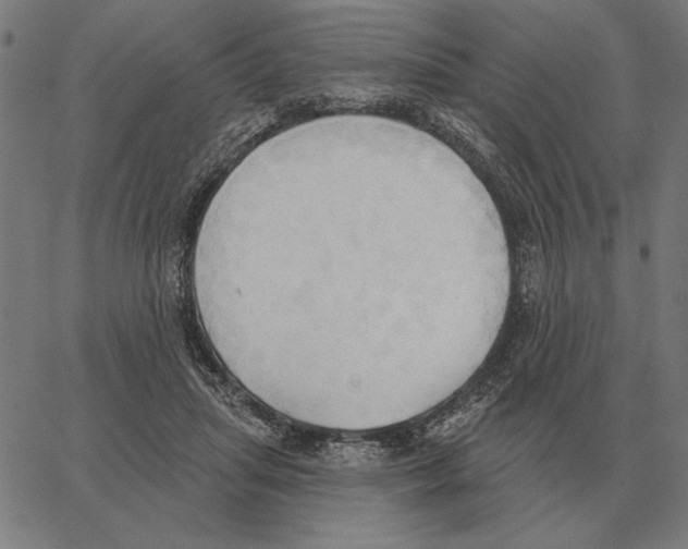 X0000062890455200602101745