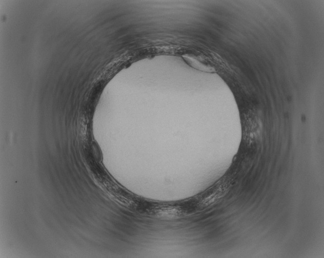 X0000062890456200602101745