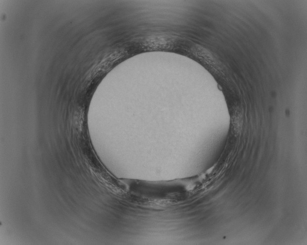 X0000062890458200602101745