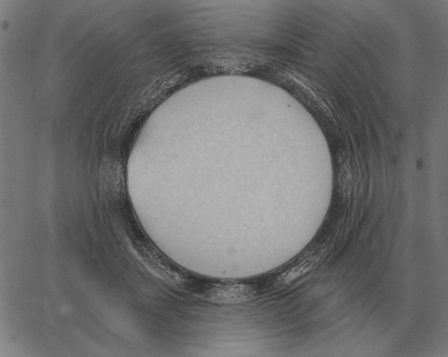 X0000062890459200602101745