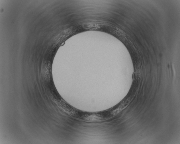 X0000062890460200602101745