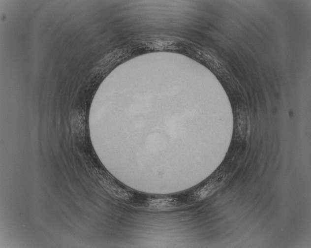 X0000062890461200602101745