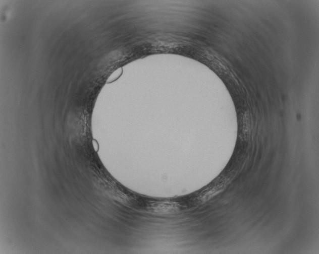 X0000062890463200602101745